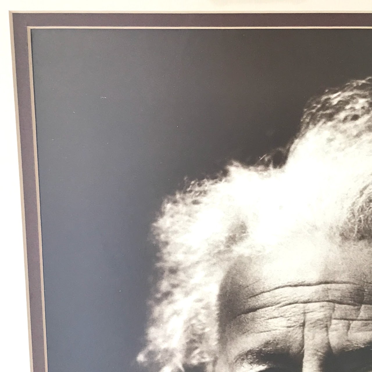 Albert Einstein Vintage Photograph