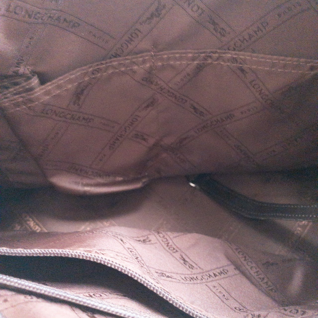 Longchamp Leather Hobo