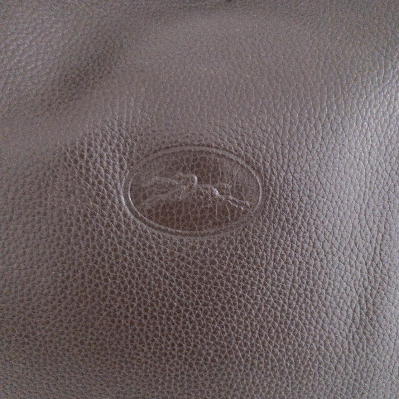 Longchamp Leather Hobo