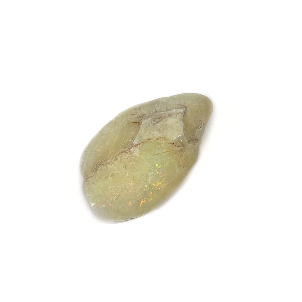 Coober Pedy Full Opalized Mussel Shell