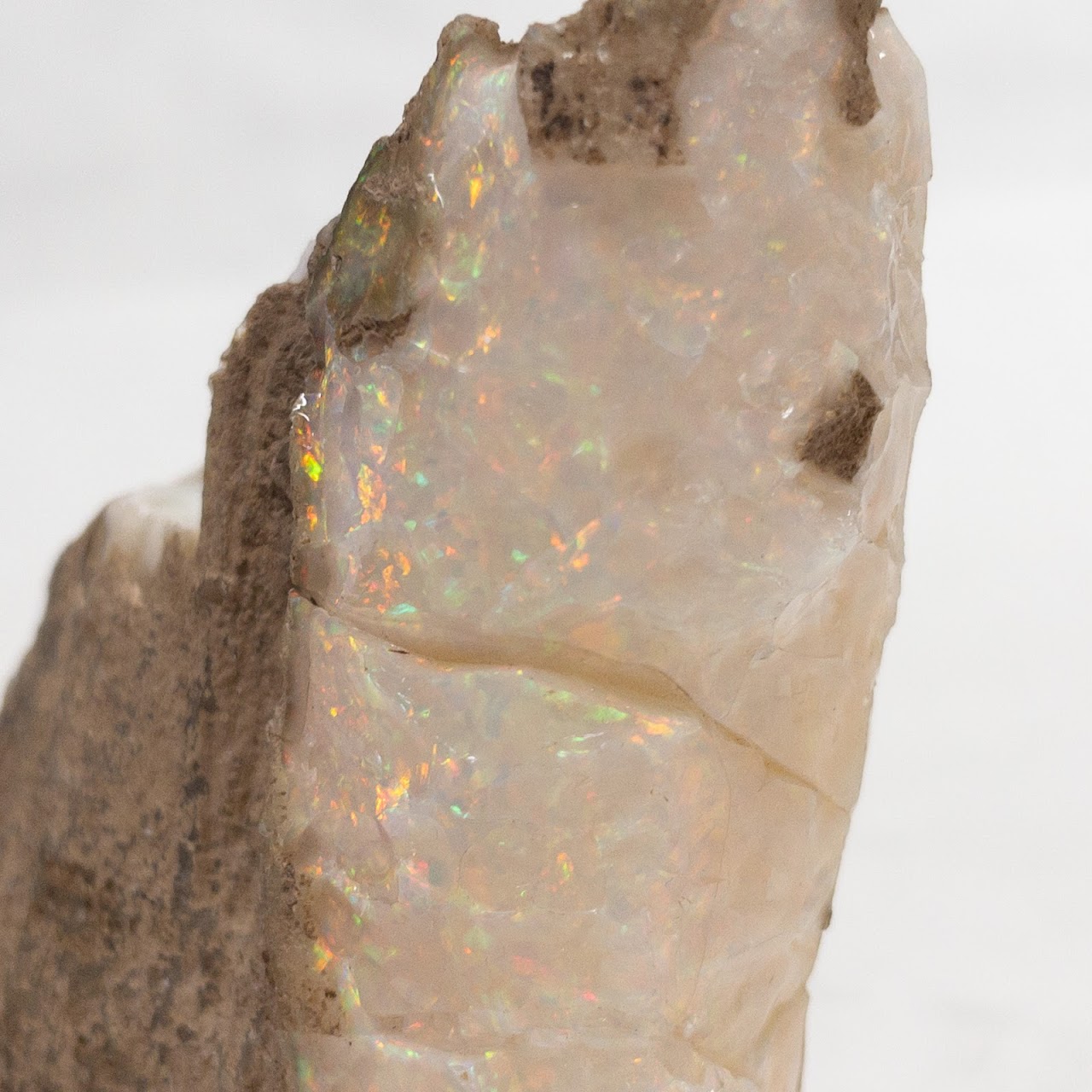 Opal in Stone Specimen