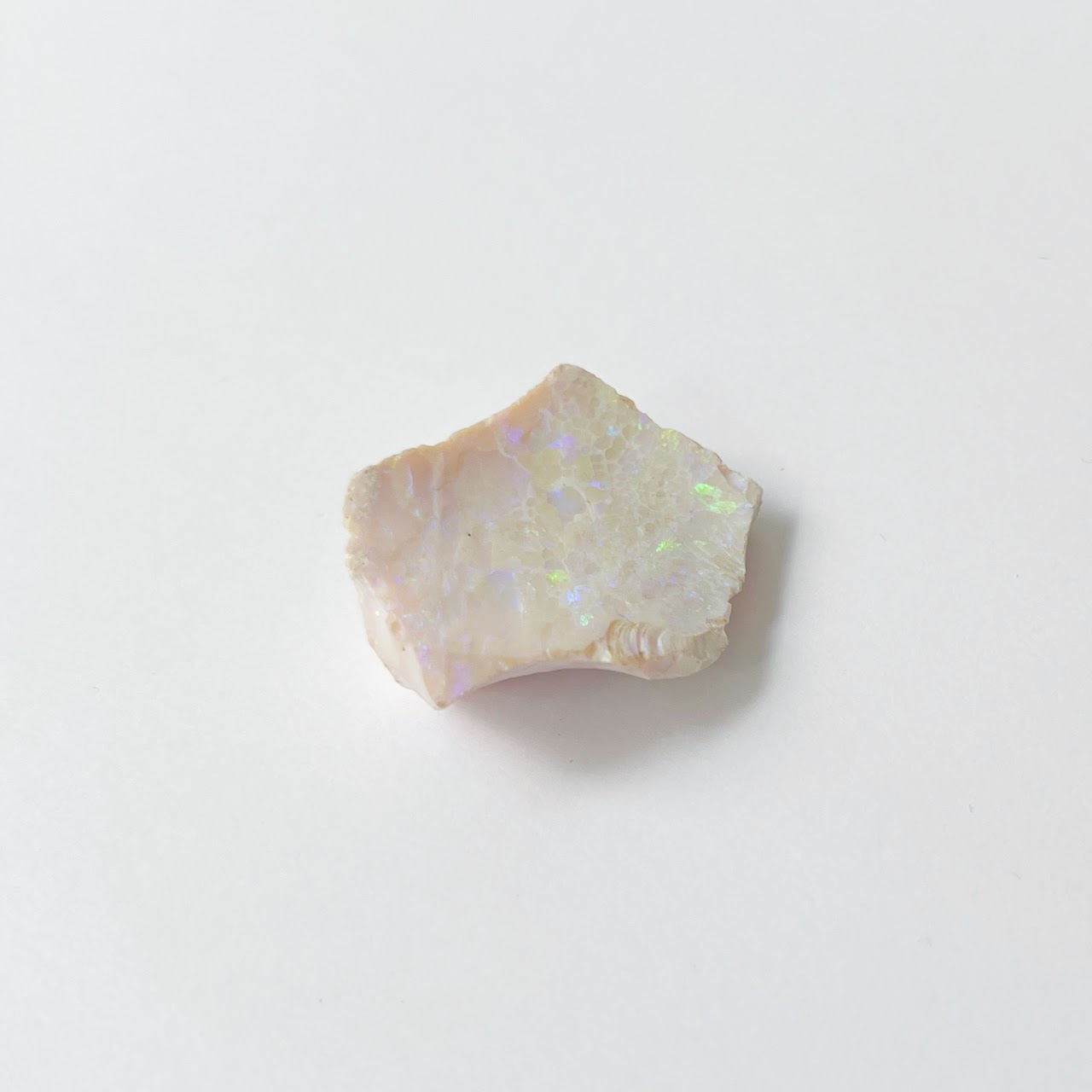 Oregon Hydrophane Rough Opal Specimen