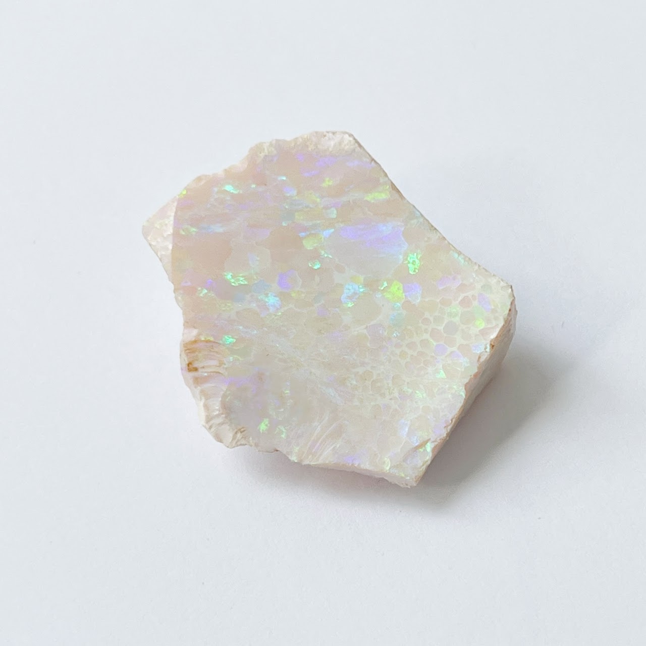 Oregon Hydrophane Rough Opal Specimen