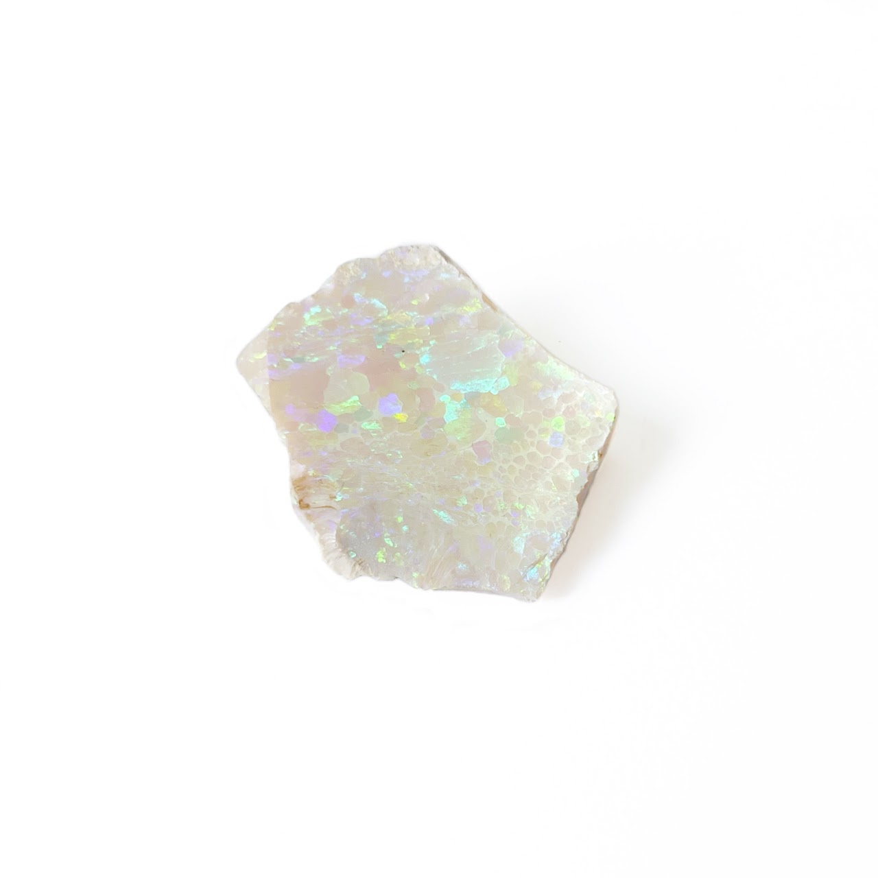 Oregon Hydrophane Rough Opal Specimen