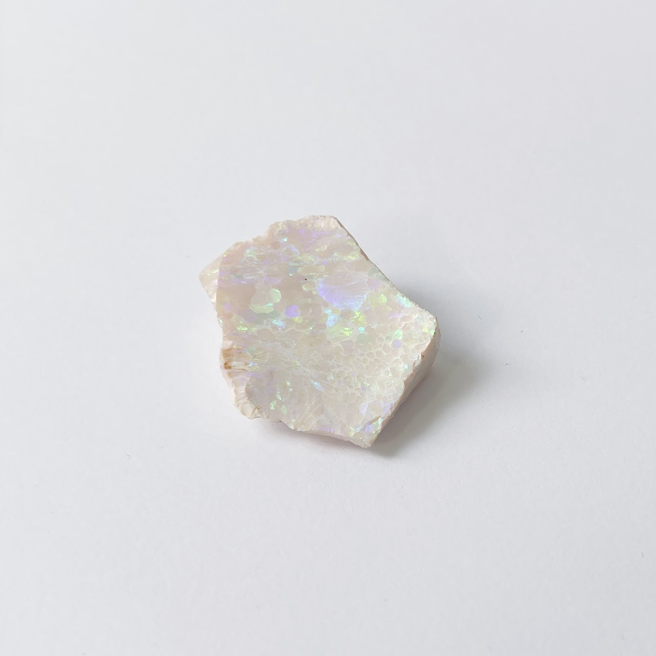 Oregon Hydrophane Rough Opal Specimen