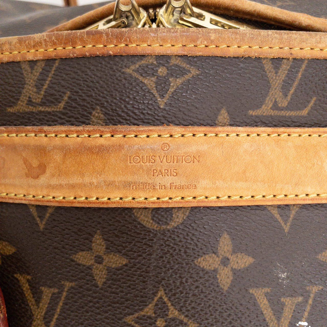 Louis Vuitton Logo Dog Carrier