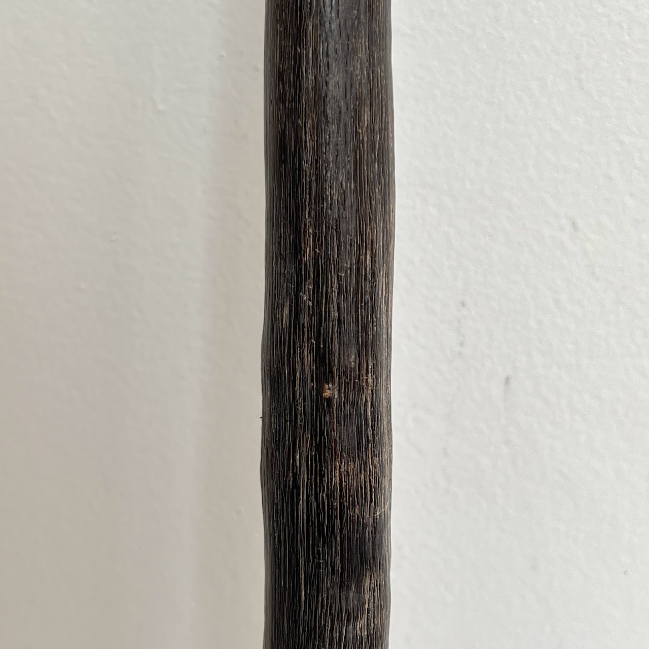 African Gemsbok Horn Specimen