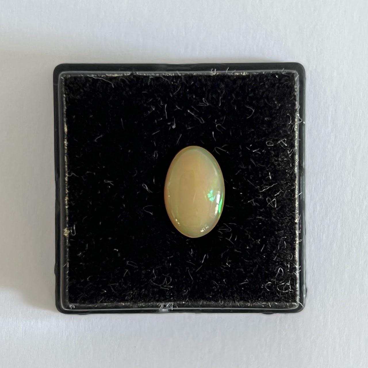 British Columbia Okanagan Opal Cabochon