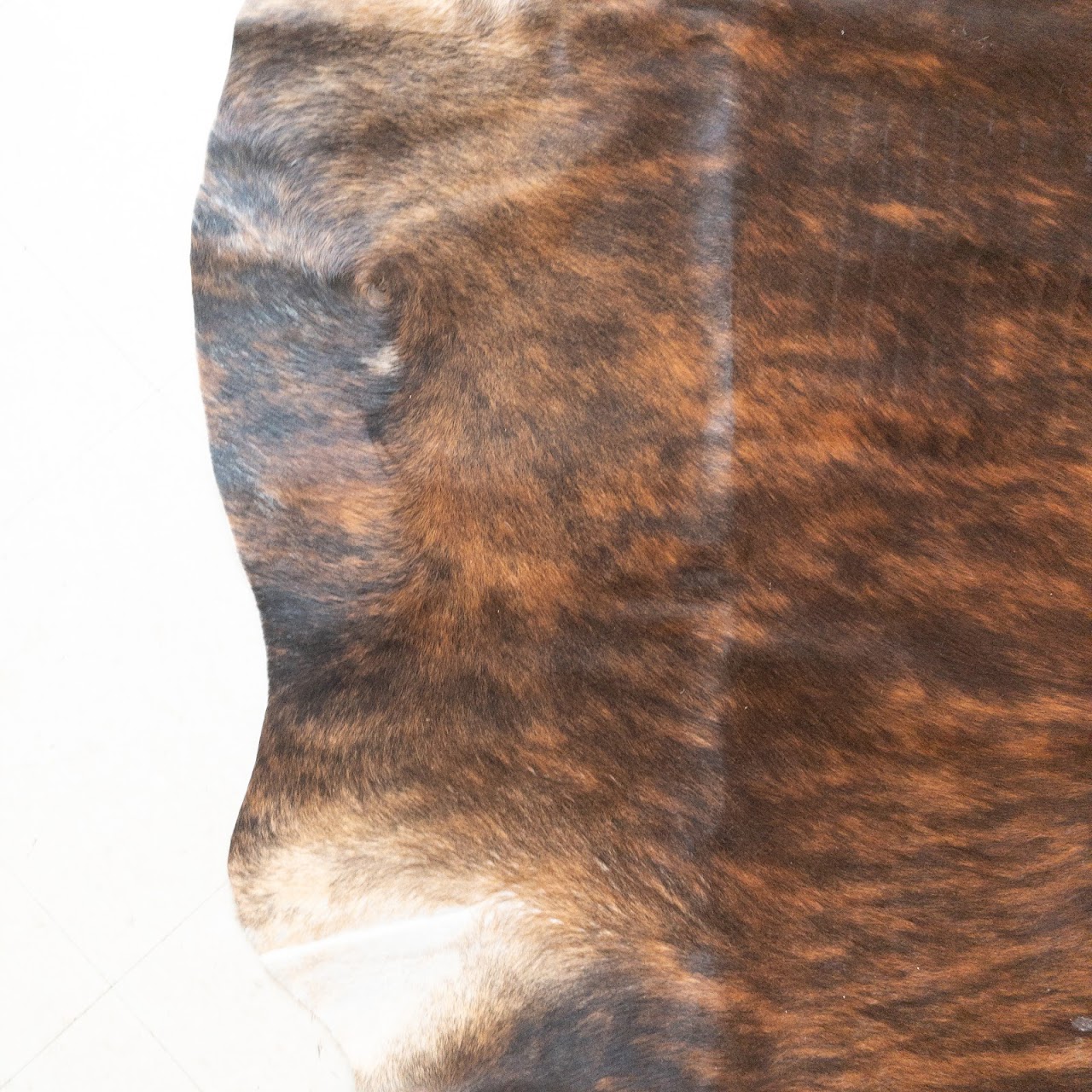 Cow Hide Rug