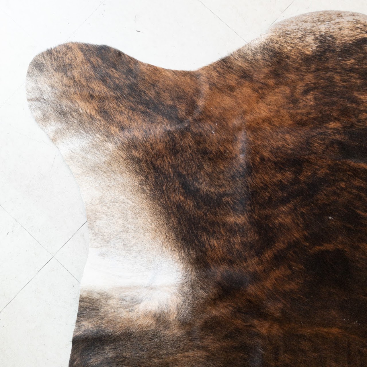 Cow Hide Rug