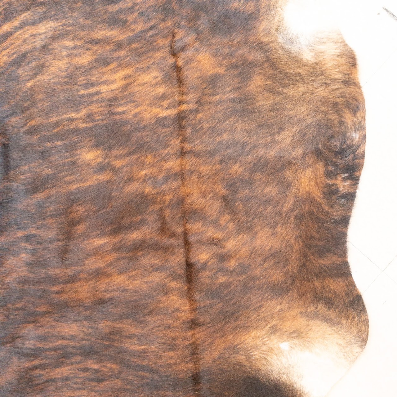 Cow Hide Rug