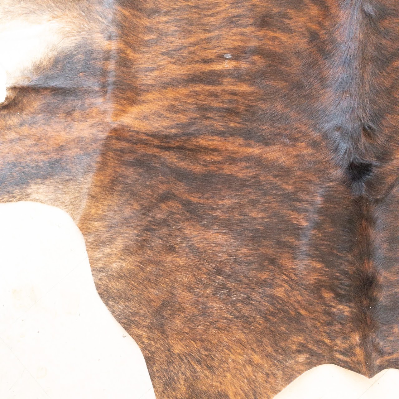 Cow Hide Rug