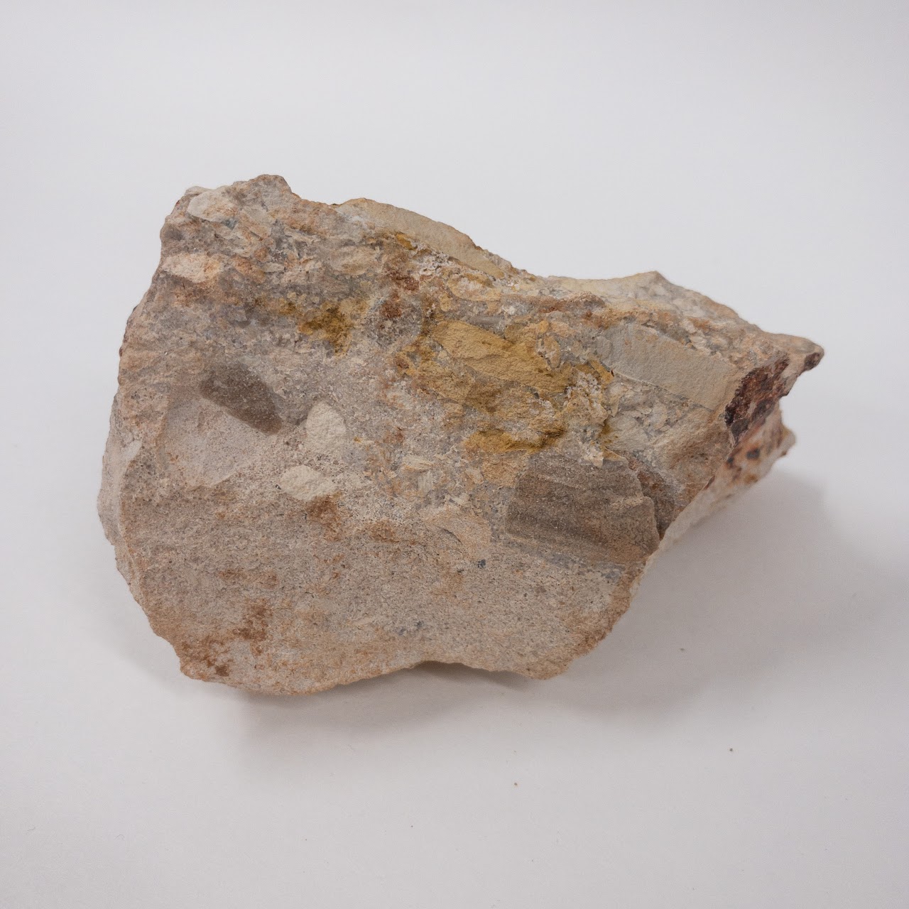 Andamooka Concrete Opal Rough Specimen