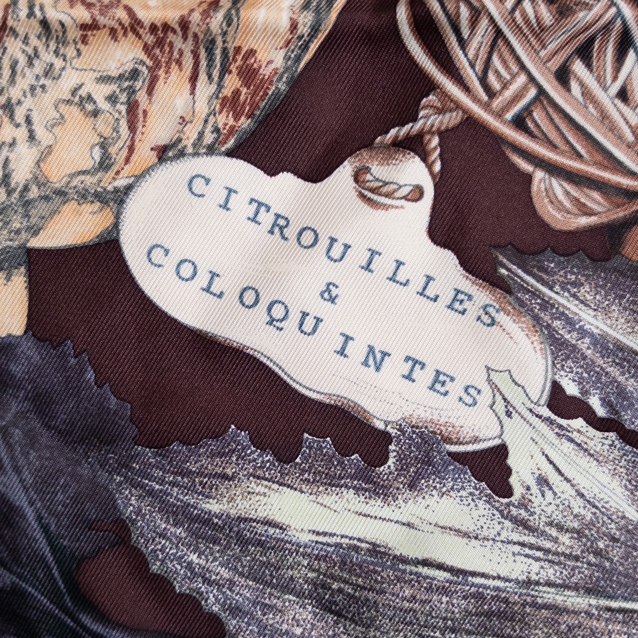 Hermès Silk Citrouilles et Coloquintes Scarf 90