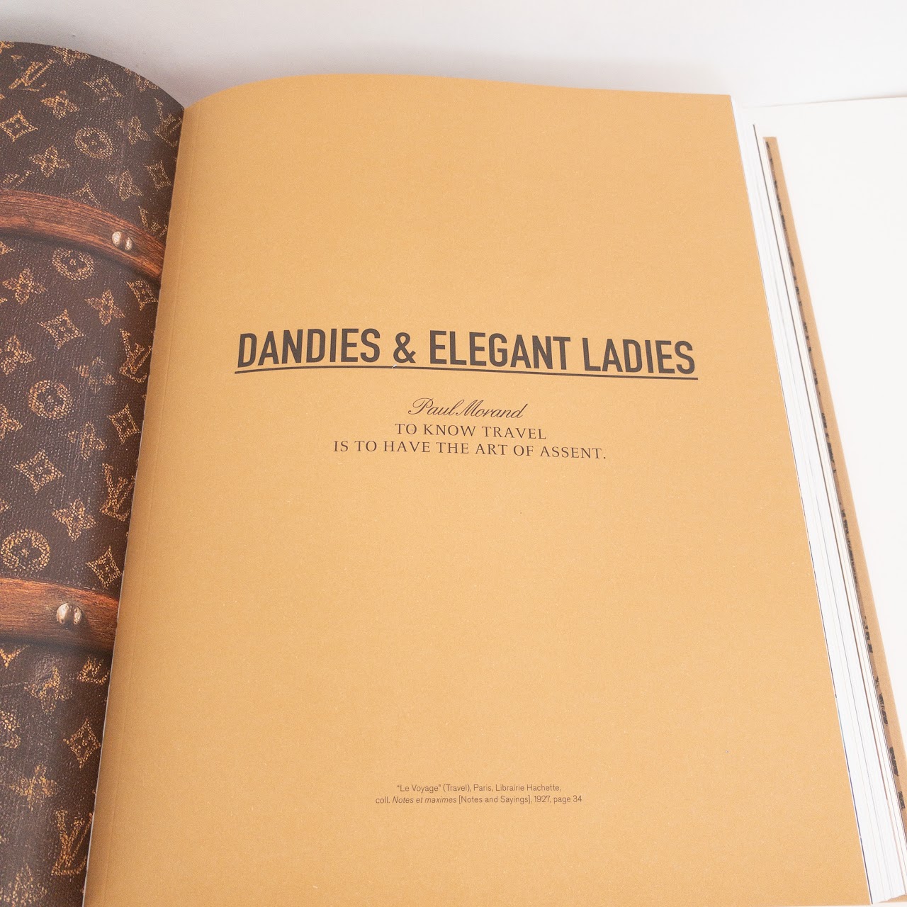 Louis Vuitton: 100 Legendary Trunks: Leonforte, Pierre Pujalet-Plaa, Eric,  Vuitton, Patrick-Louis: 9780810982475: : Books