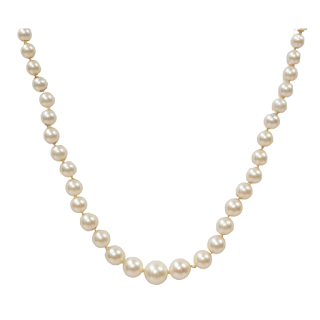 14K Gold and Akoya Pearl Choker Strand