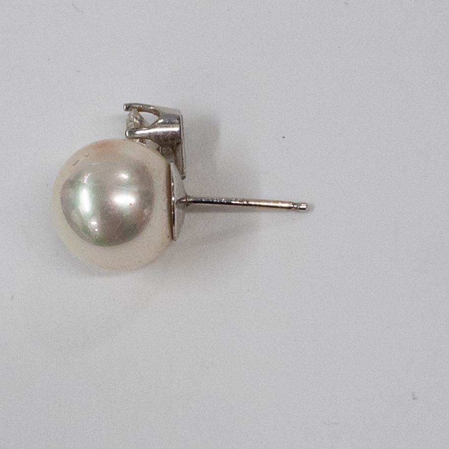 14K White Gold 'Pearl' Stud Earrings