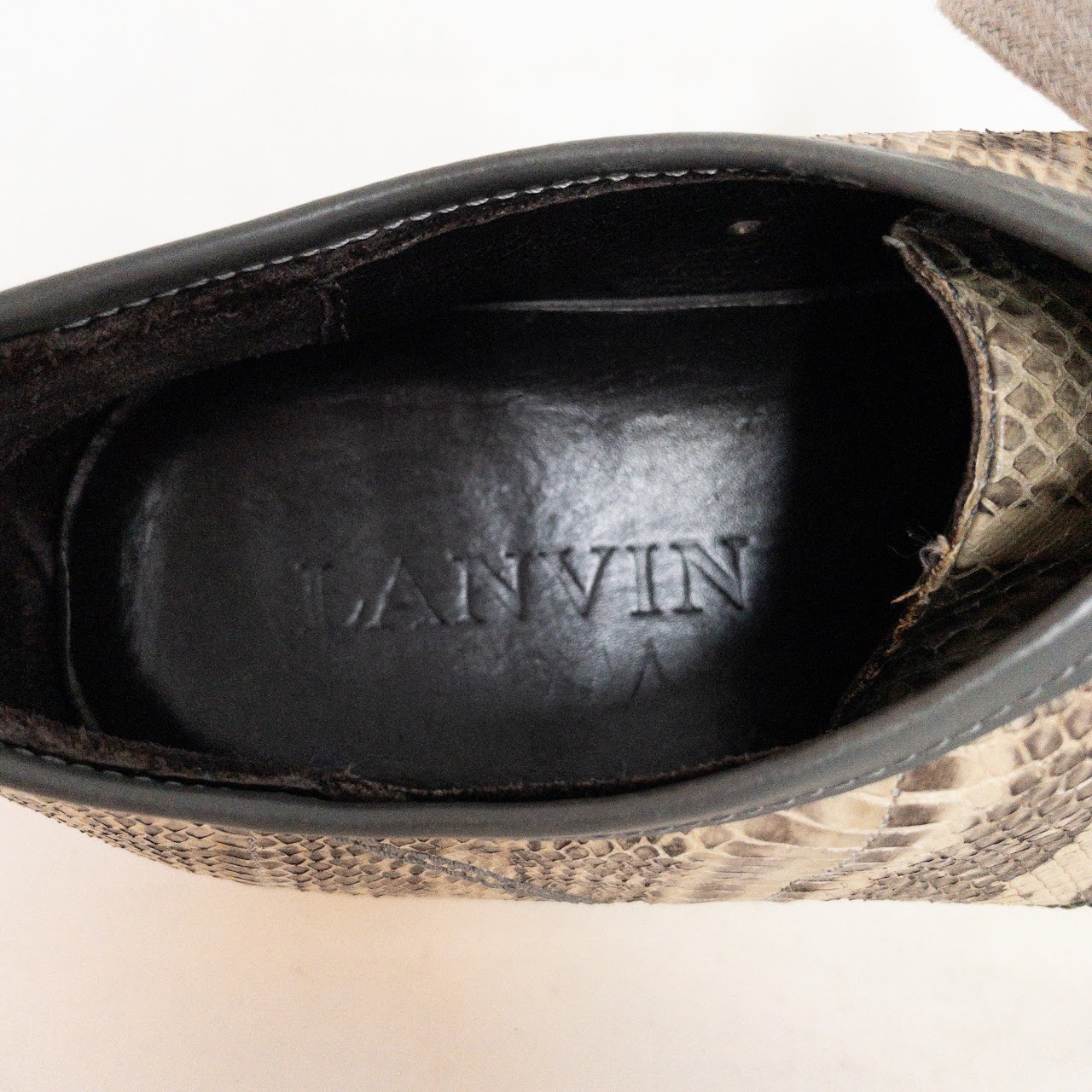 Lanvin Snakeskin Patterned Leather Cap Toe Sneakers