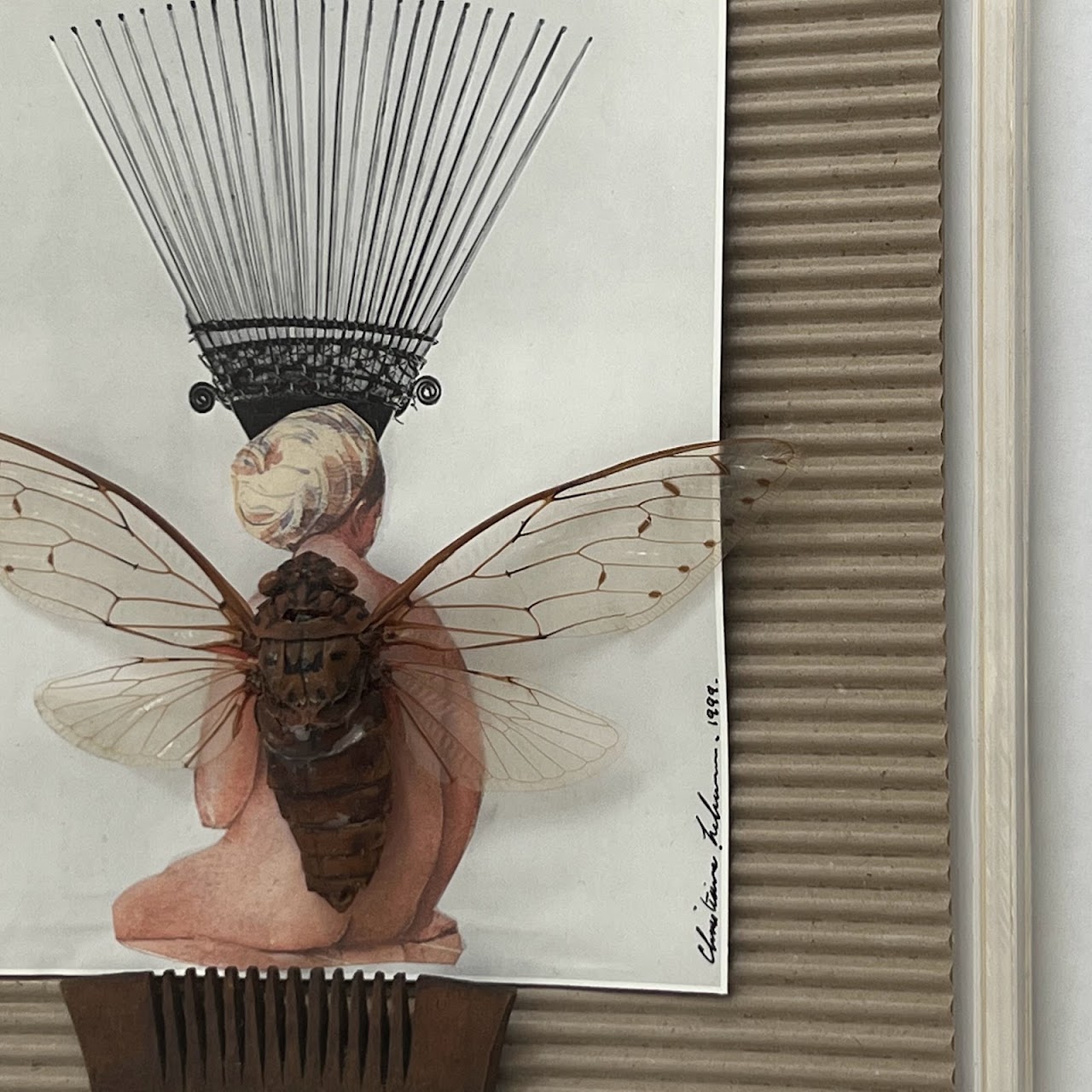 Champaka Viridimaculata Cicada Specimen and Mixed Media Collage