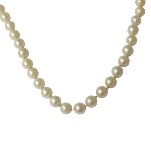 Pearl & 14K White Gold Necklace