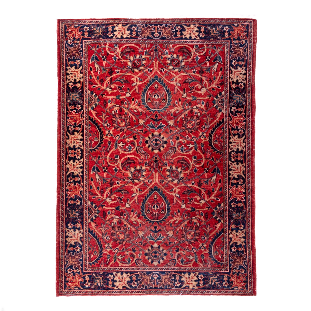 Wool Hand Knotted Area Rug