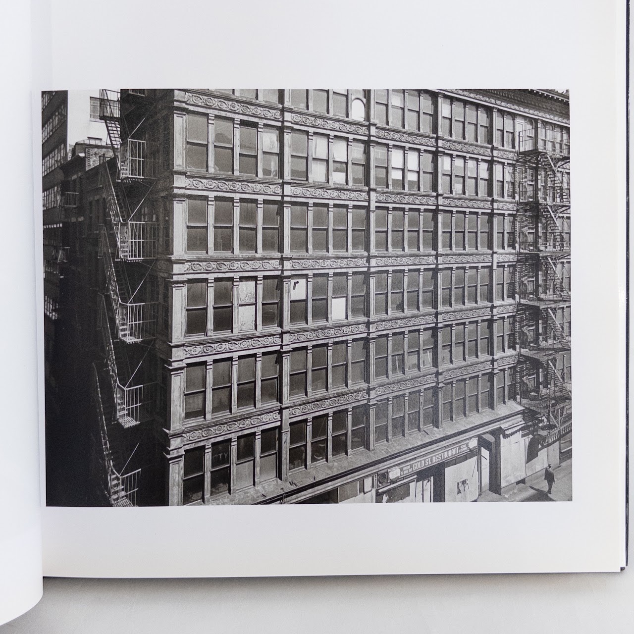 Danny Lyon: The Destruction of Lower Manhattan First Aperture Edition