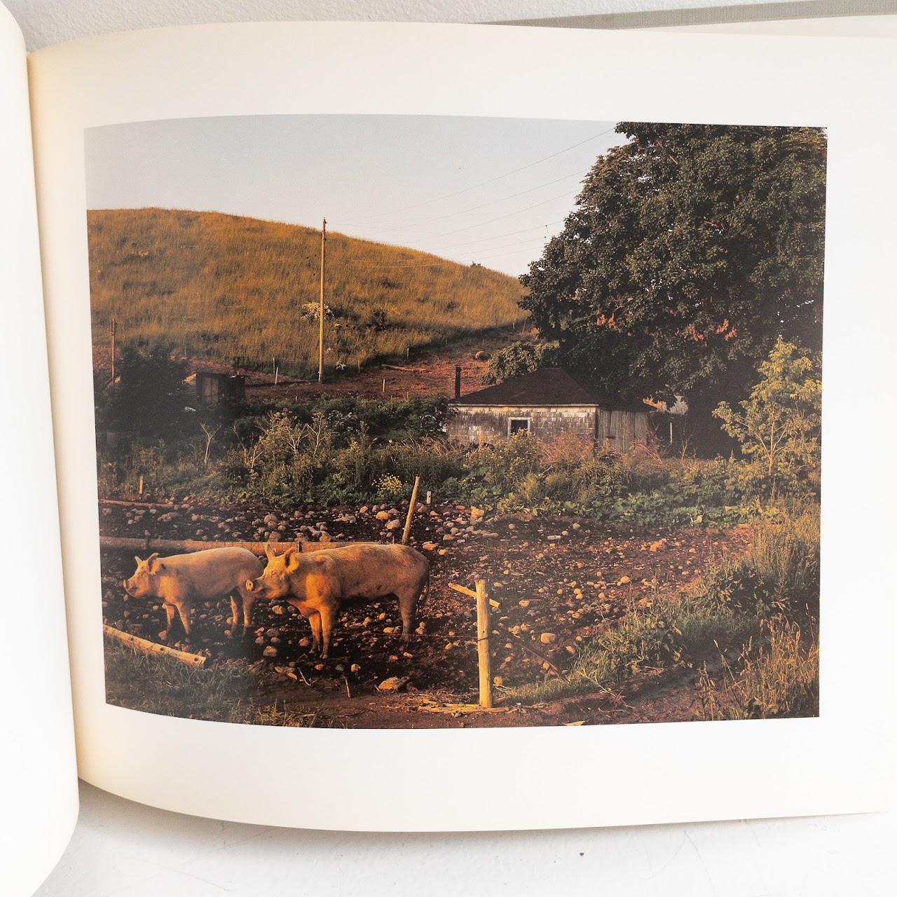 Joel Sternfeld Signed 'American Prospects' Rare Book