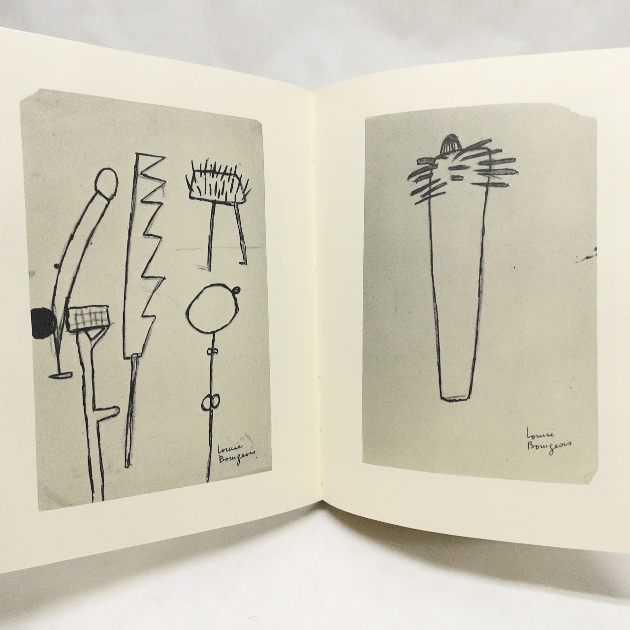 'Louise Bourgeois Drawings' Rare Book