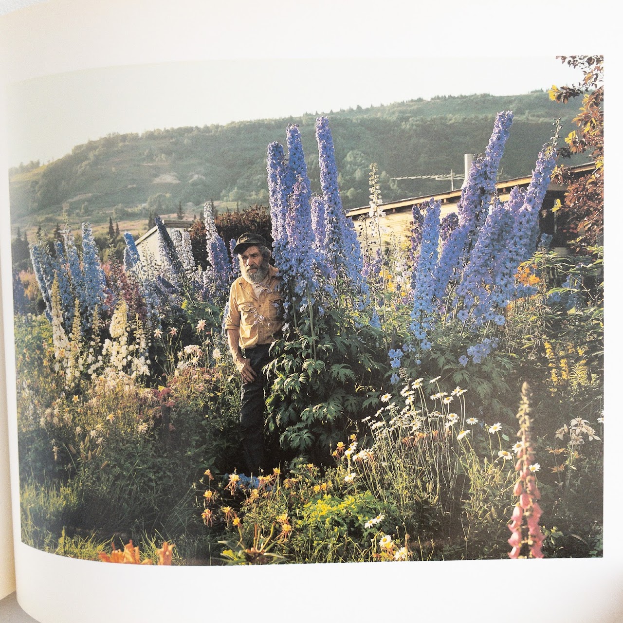 Joel Sternfeld Signed 'American Prospects' Rare Book