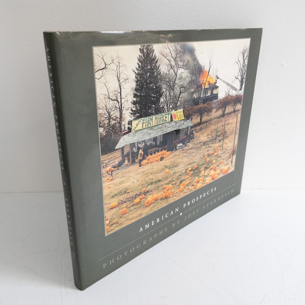 Joel Sternfeld Signed 'American Prospects' Rare Book