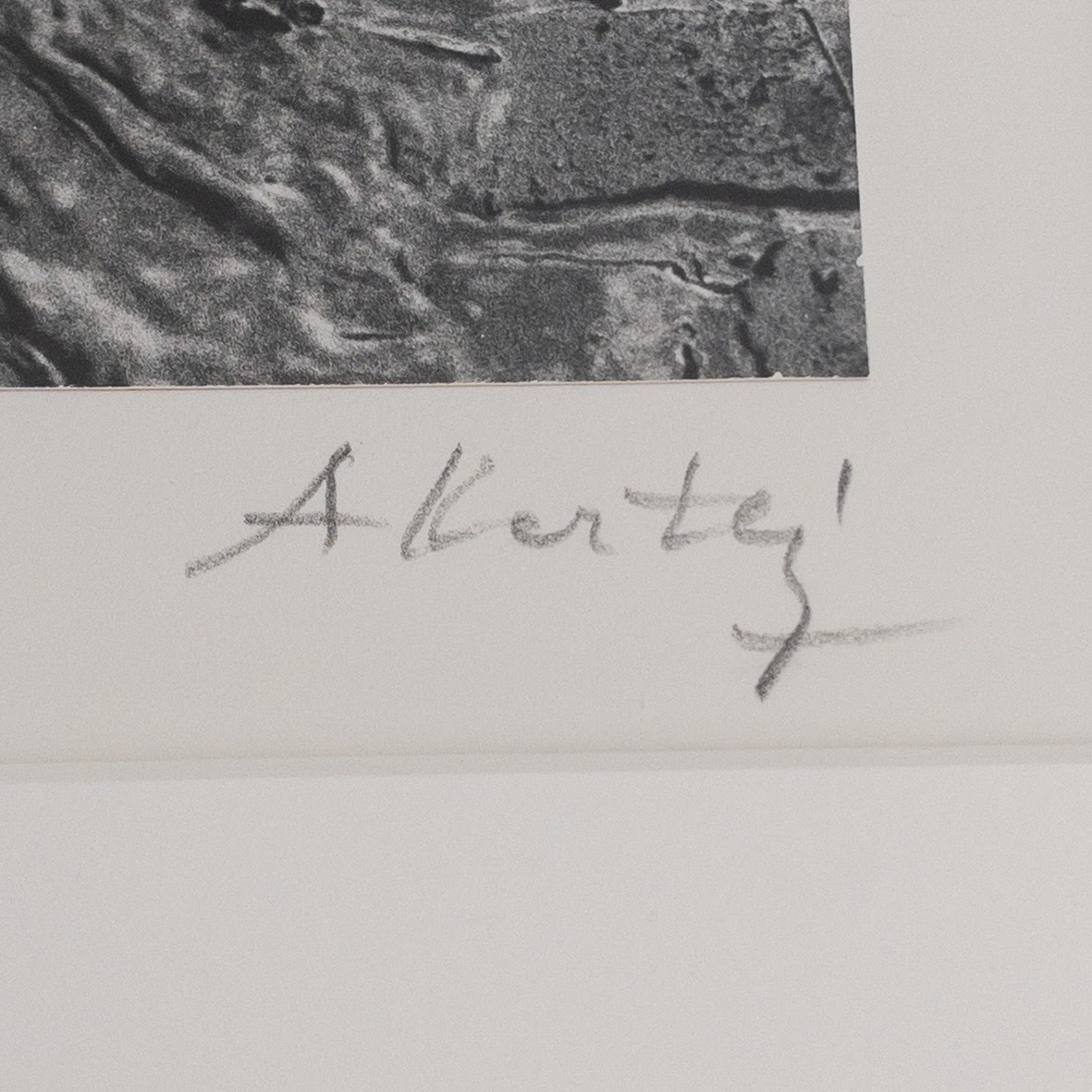 André Kertész Signed Photograph