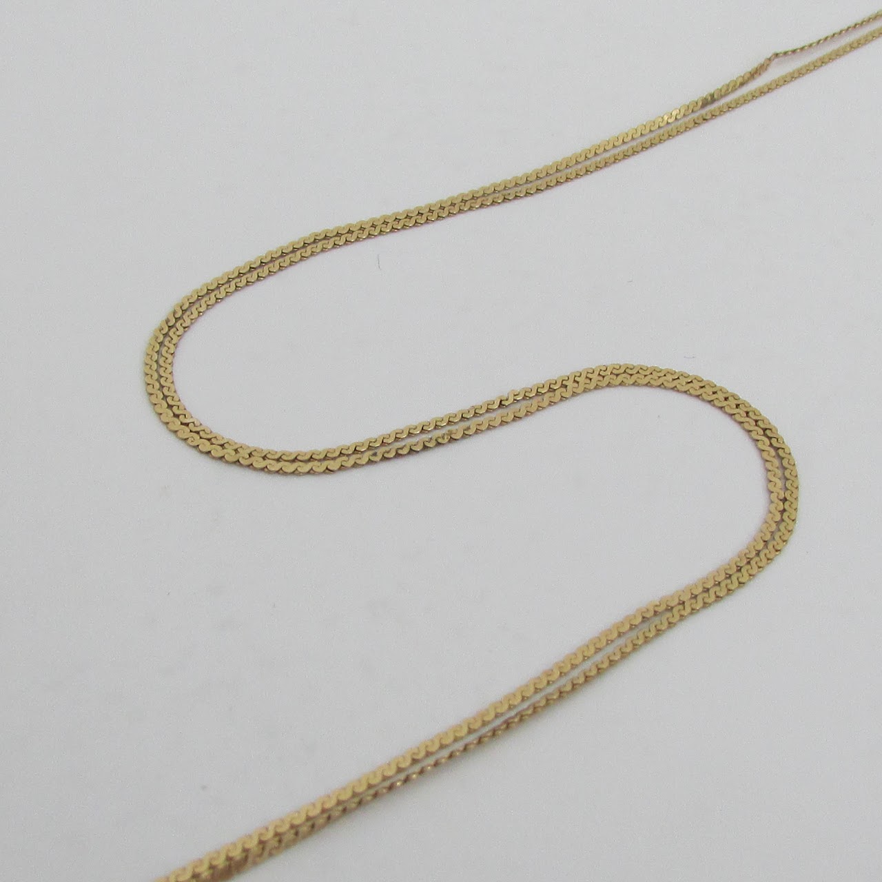 14K Gold Flat S Chain Necklace