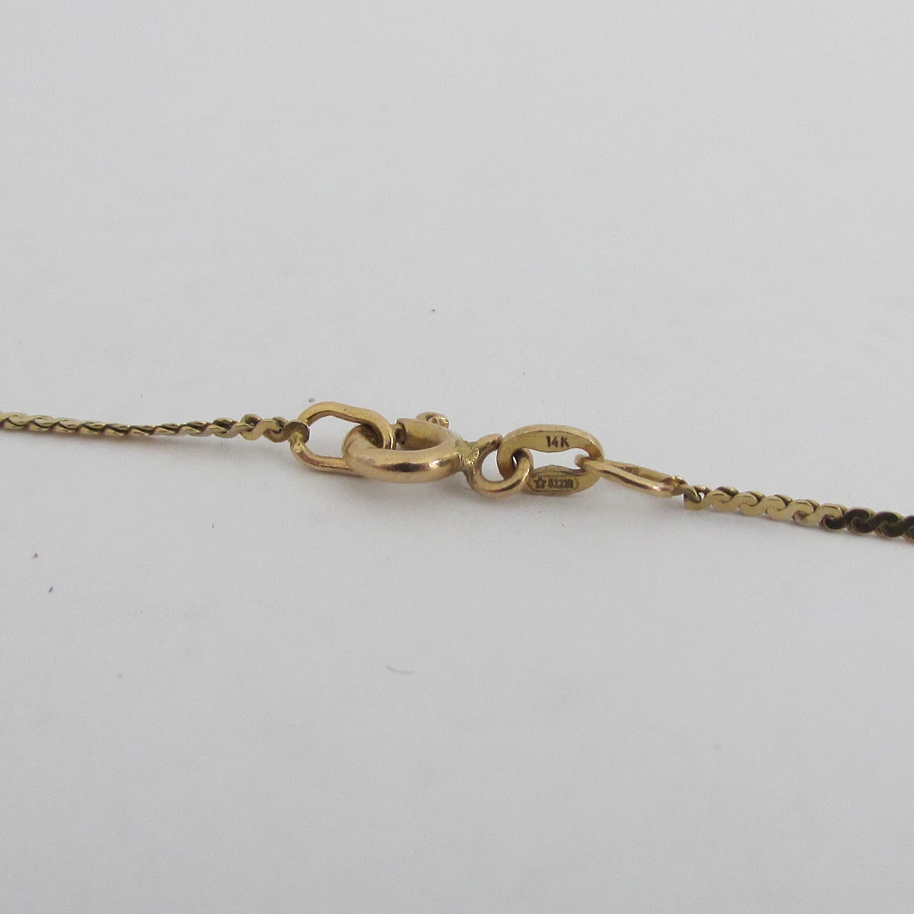 14K Gold Flat S Chain Necklace