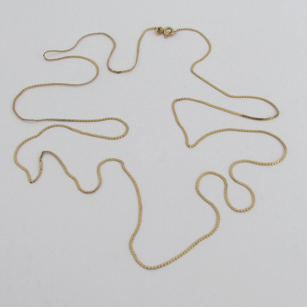 14K Gold Flat S Chain Necklace