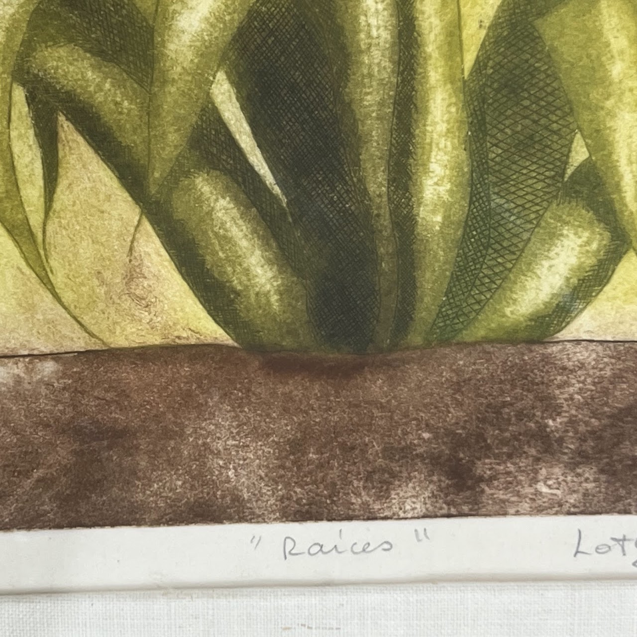 Loty de la Granja 'Raices' Modernist Agave Plant Etching and Aquatint, 1979