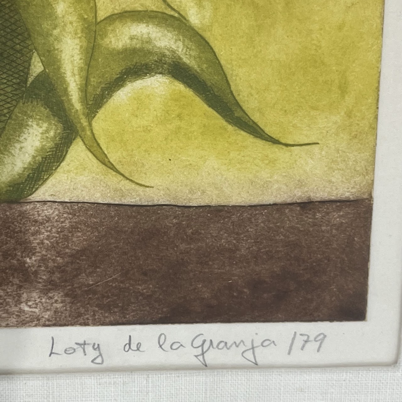 Loty de la Granja 'Raices' Modernist Agave Plant Etching and Aquatint, 1979