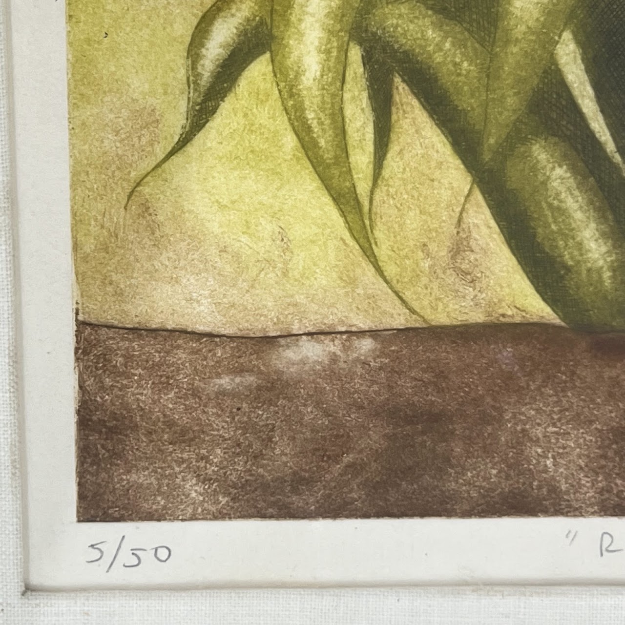 Loty de la Granja 'Raices' Modernist Agave Plant Etching and Aquatint, 1979