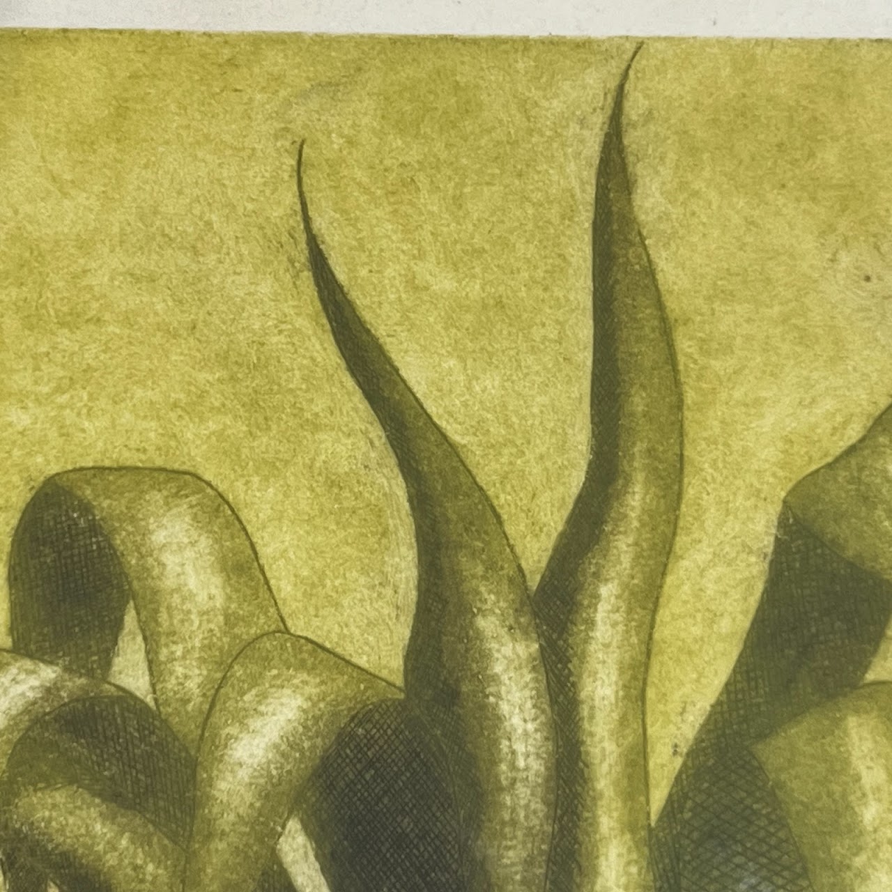 Loty de la Granja 'Raices' Modernist Agave Plant Etching and Aquatint, 1979