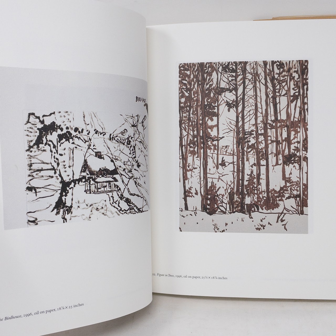 Peter Doig: Works on Paper First Edition Exhibition Book