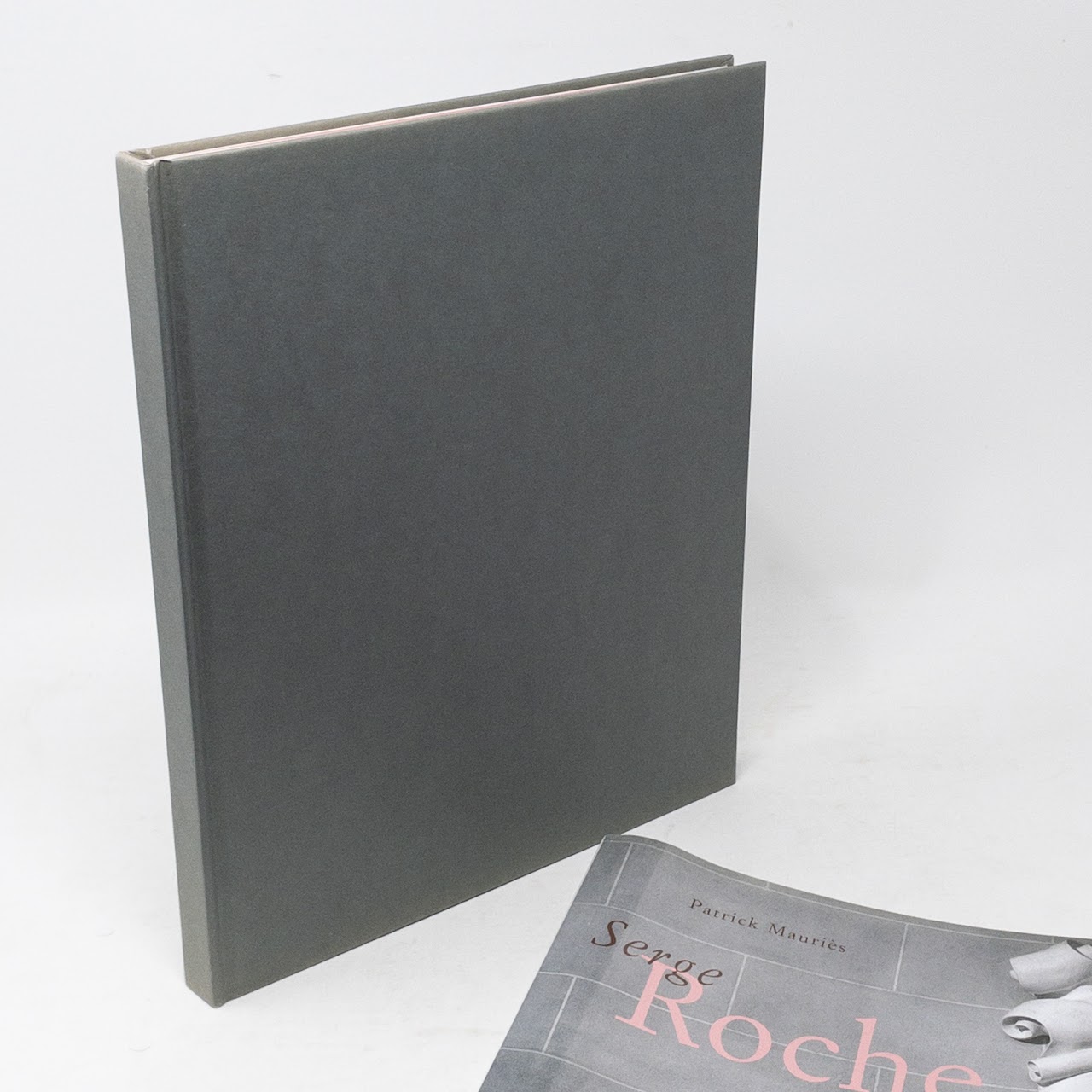 Serge Roche Exhibitions Catalog Patrick Mauries Book