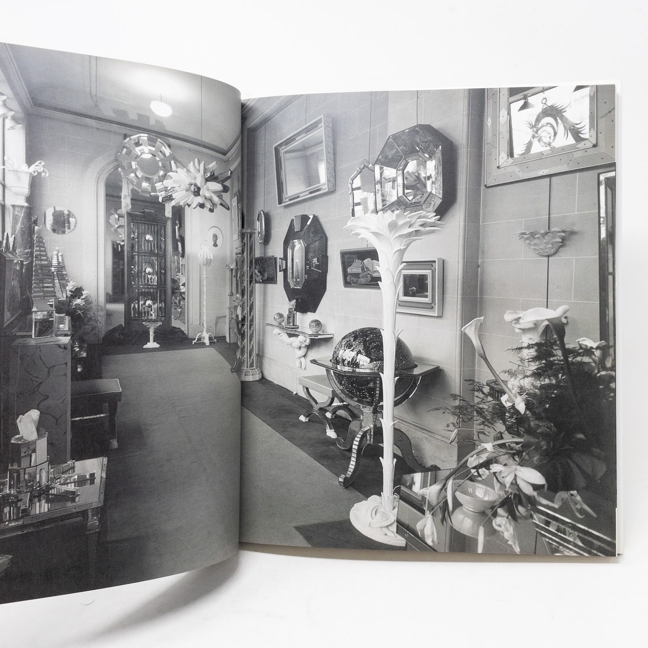 Serge Roche Exhibitions Catalog Patrick Mauries Book