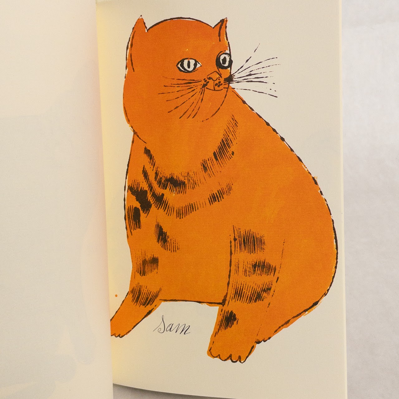 25 Cats Named Sam & One Blue Pussy + Holy Cats By Andy Warhol's Mother 1987 First Ed.