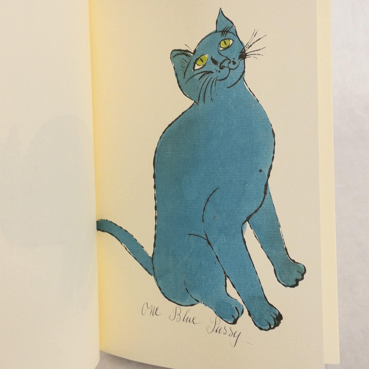 25 Cats Named Sam & One Blue Pussy + Holy Cats By Andy Warhol's Mother 1987 First Ed.