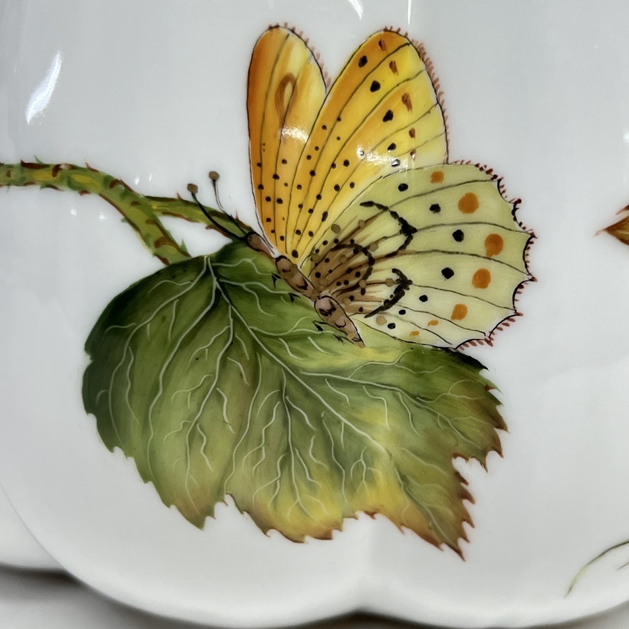 Anna Weatherly Designs Hand-Painted Porcelain Serving Bowl