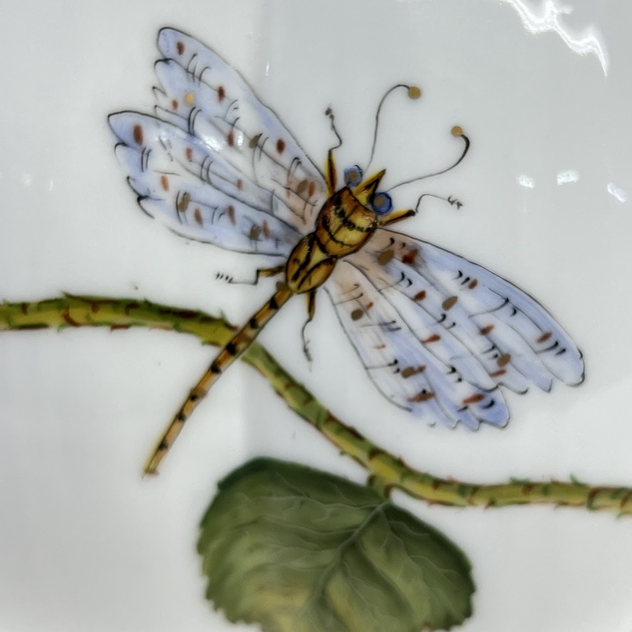 Anna Weatherly Designs Hand-Painted Porcelain Serving Bowl