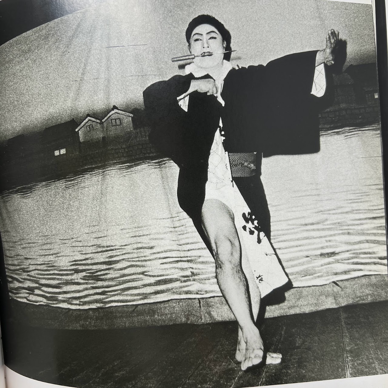 Daido Moriyama: 'Stray Dog' First Edition