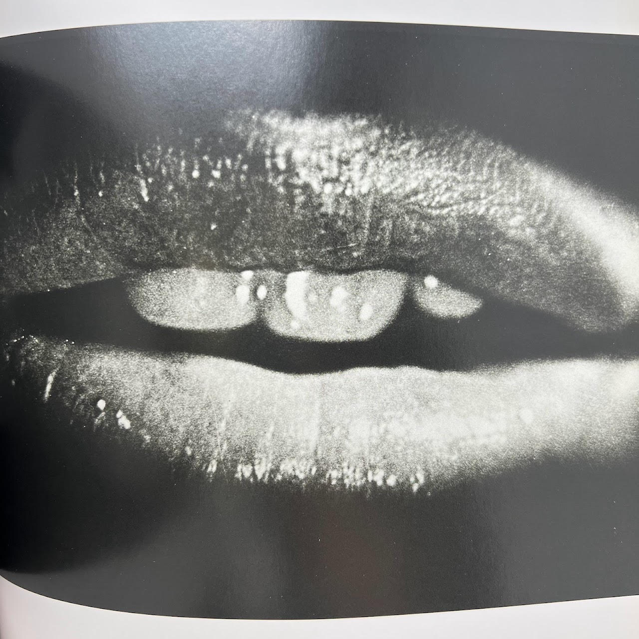 Daido Moriyama: 'Stray Dog' First Edition