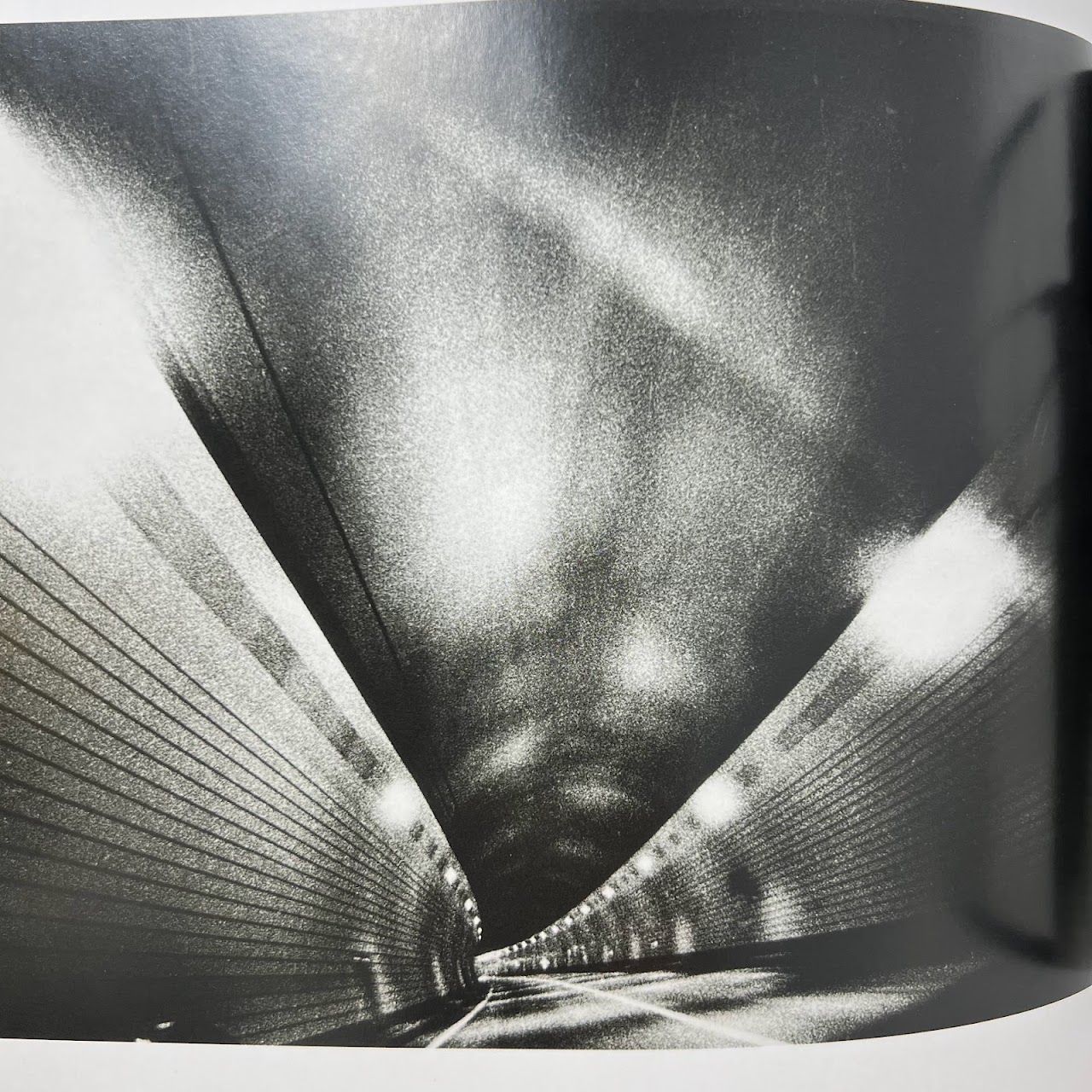 Daido Moriyama: 'Stray Dog' First Edition