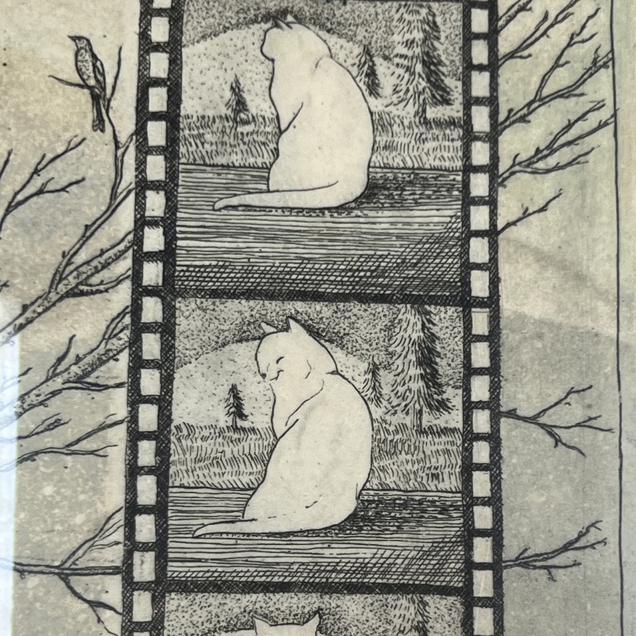 Amy Adshead 'White Cat, Film Noir' Signed Etching, 1996