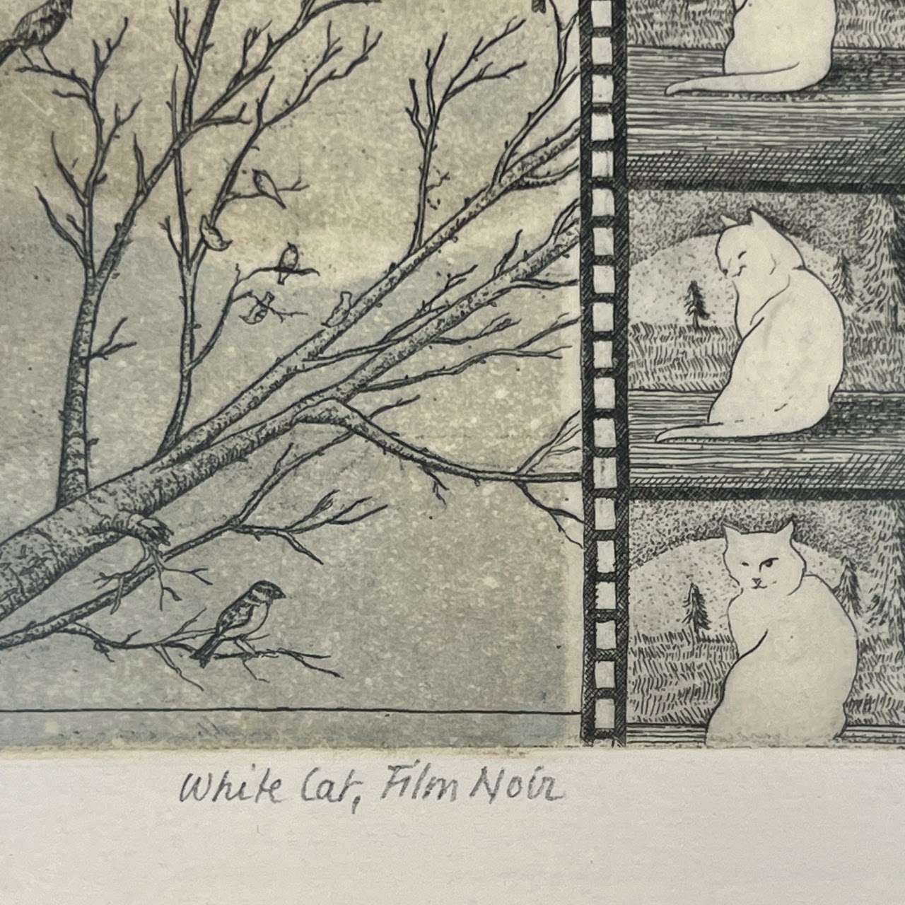 Amy Adshead 'White Cat, Film Noir' Signed Etching, 1996